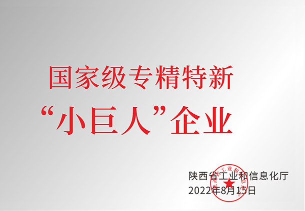 國(guó)家級(jí)專精特新“小巨人”企業(yè)